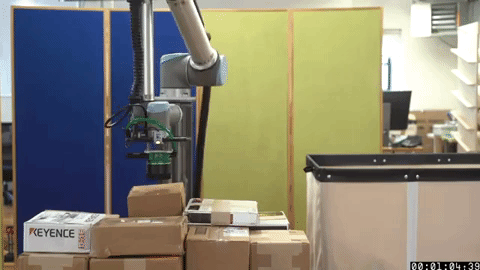 Pickle - Dill picks boxes